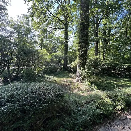 Spacieuse Et Paisible - 15 Pers. - Fr-1-527-119 Holiday home